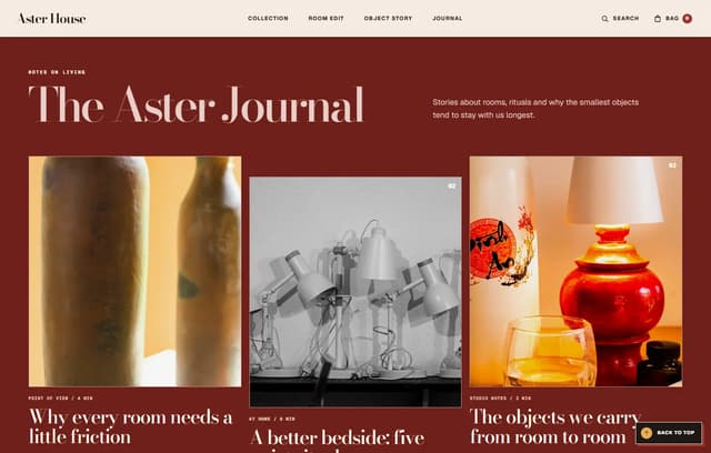 Aster House Journal page preview